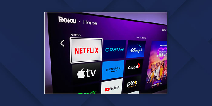 How To Log Out Of Netflix On TV Roku 